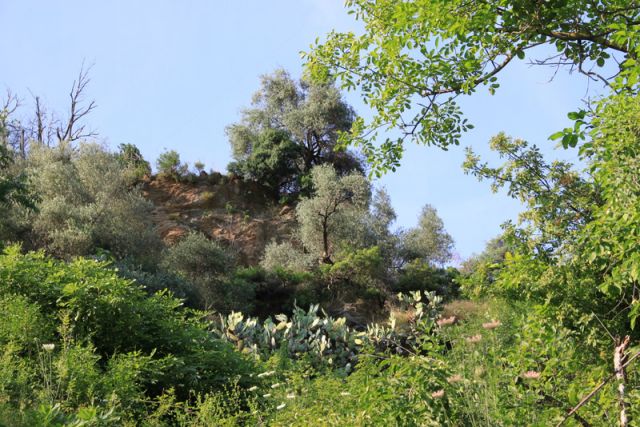 2010 07 02 jeanmarcperfetti.com 004.JPG